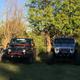 The sun always shines on a yellow Jeep.